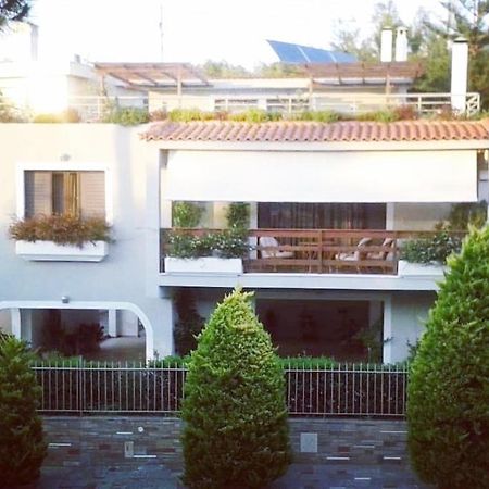 Fantastic Villa, A 5 Minute Drive From The Beach! アテネ エクステリア 写真